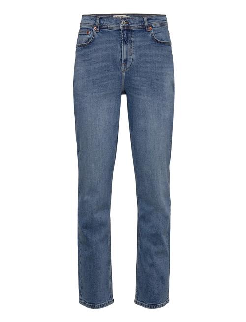 Solid | Sdisni Ryan | 36 x 32