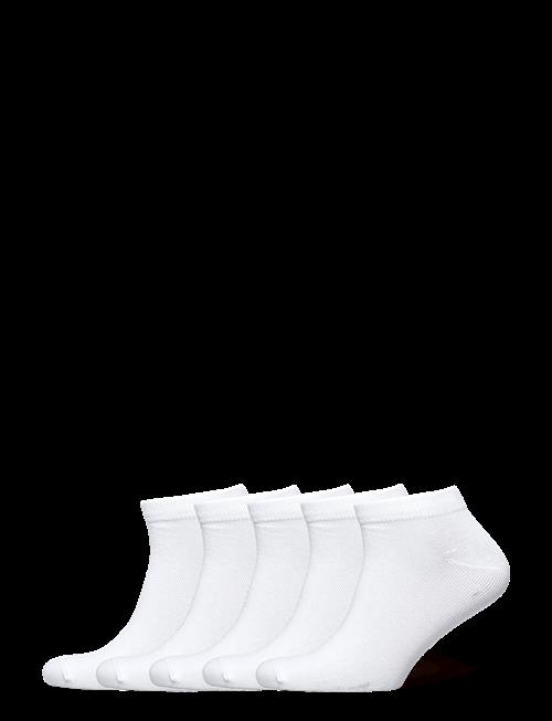 Boozt Merchandise | 5-Pack Footies | 39-42