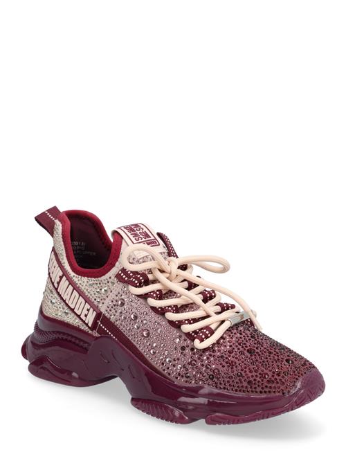 Steve Madden | Mistica Sneaker | 38
