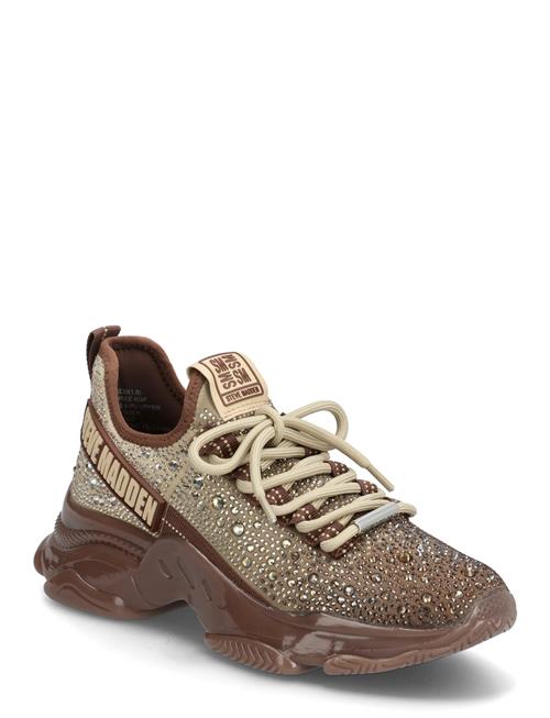 Steve Madden | Mistica Sneaker | 36