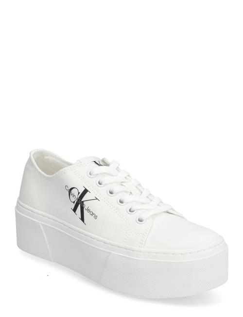 Calvin Klein | Flatform+ Cupsole Low Txt | 40