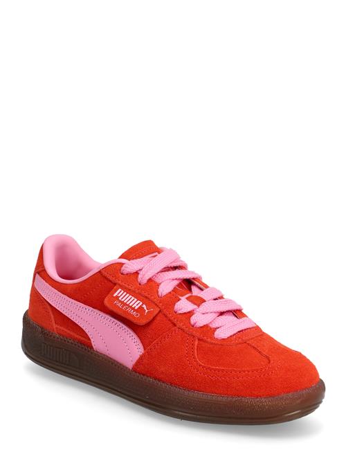 PUMA | Palermo | 38.5