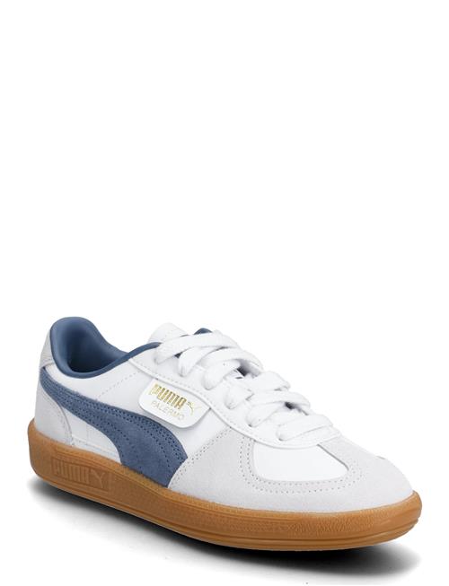 PUMA | Palermo Lth Jr | 39