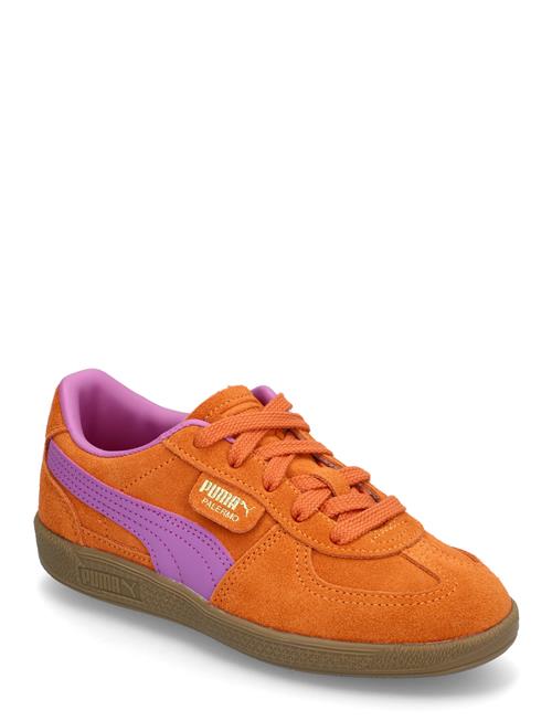 PUMA | Palermo Ps | 30