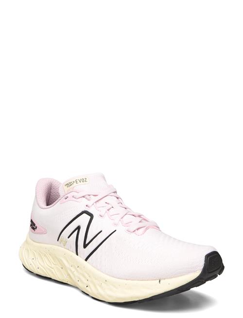 New Balance | New Balance Freshfoam Evoz V3 | 36