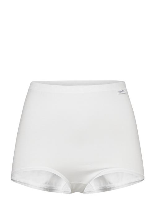 Damella of Sweden | Maxi Brief | M