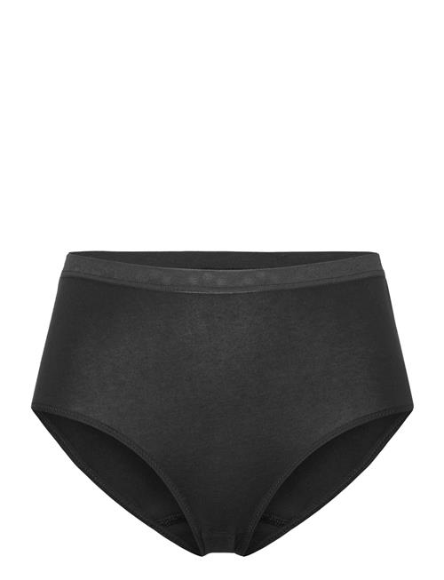Damella of Sweden | Midi Brief | L