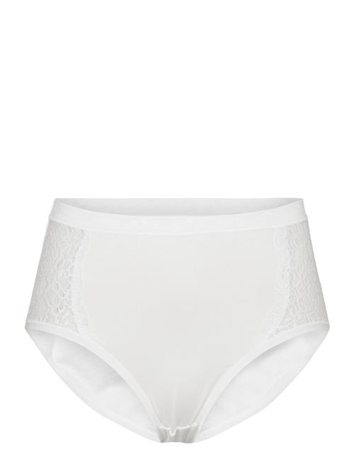 Damella of Sweden | Midi Brief | S