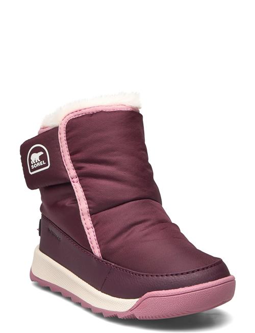Sorel | Childrens Whitney Ii Plus Bootie Wp | 27