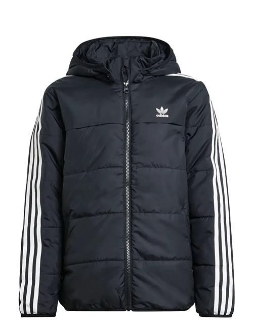 adidas Originals | Padded Jacket | 134