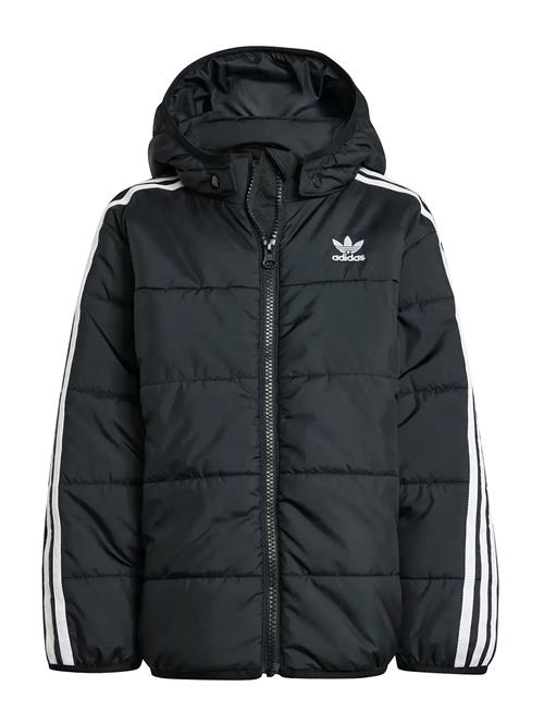 adidas Originals | Padded Jacket | 110