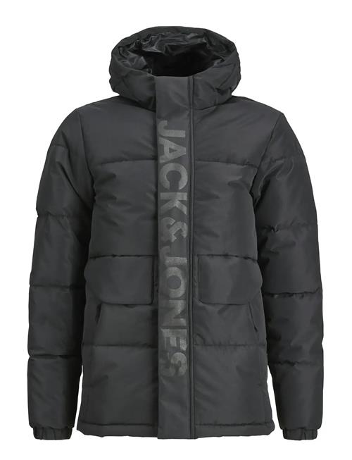 Jack & Jones | Jcospeed Puffer Sn Mni | 104