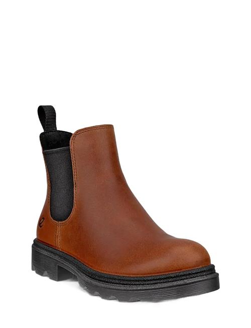 ECCO | Grainer K | 31