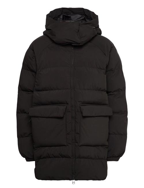 Helly Hansen | W Ellie Puffy Parka | M