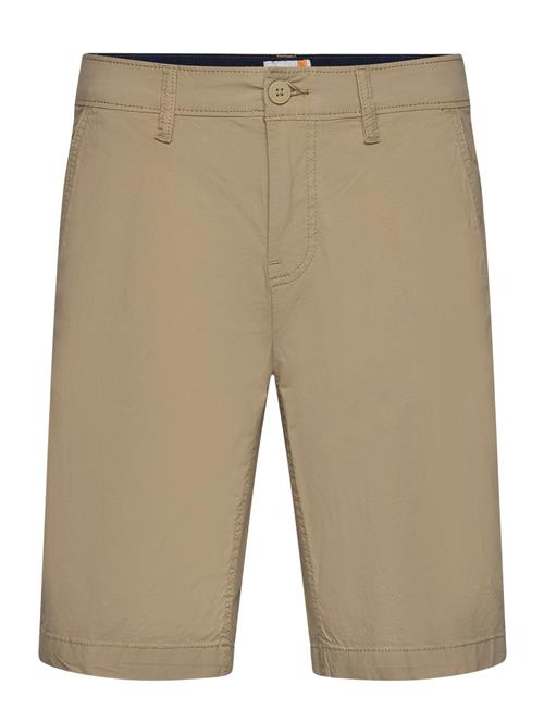 Timberland | Poplin Chino Short | 35