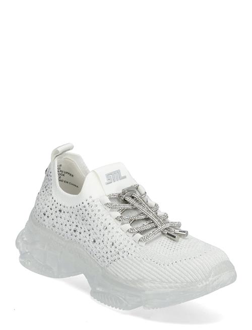Steve Madden | Meter Sneaker | 39