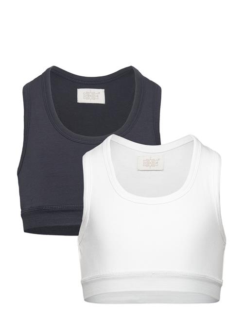 Creamie | Top 2-Pack | 104