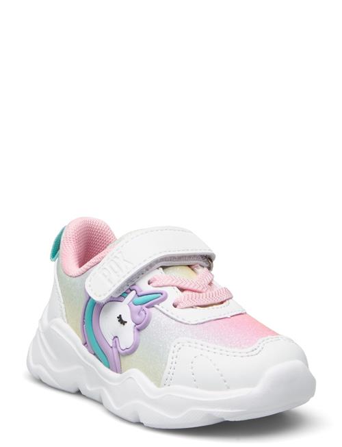 PAX | Stray Pax | 23/15.341CM