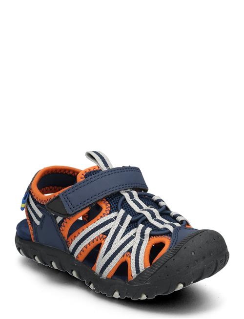 PAX | Cloudi Pax | 29/18.3CM