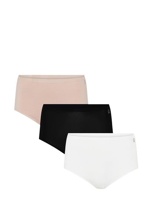 URBAN QUEST | 3-Pack Women Bamboo Maxi Brief | M