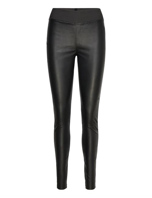 Lollys Laundry | Lollyll Leather Legging | L