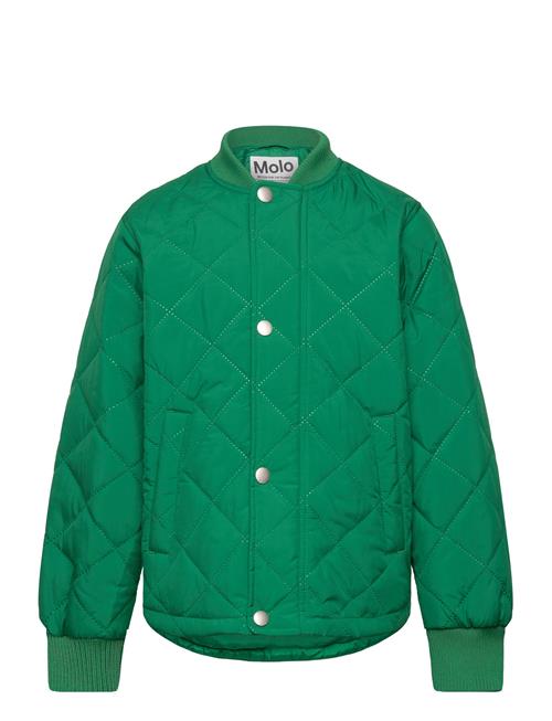 Molo | Hallow | 74/80