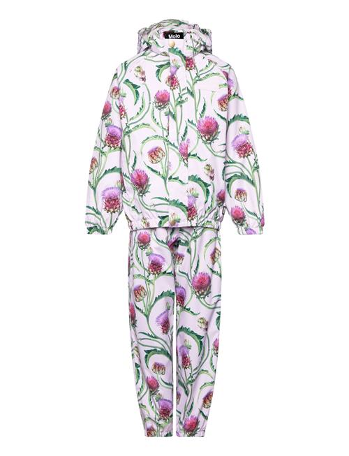 Molo | Whalley | 92-98