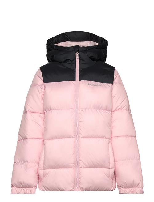 Columbia Sportswear | Puffect Hooded Jacket | 116