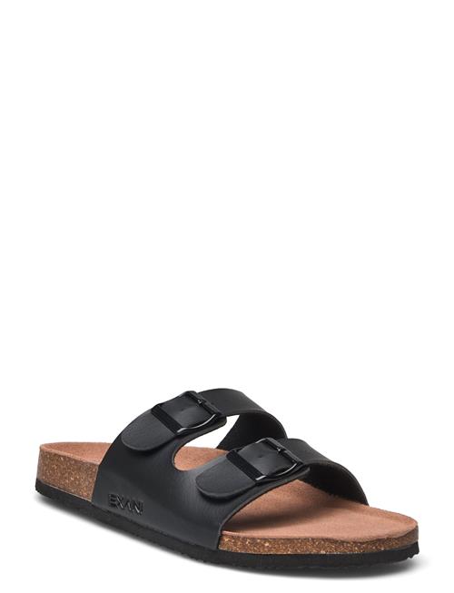 Exani | Spectra M | 41