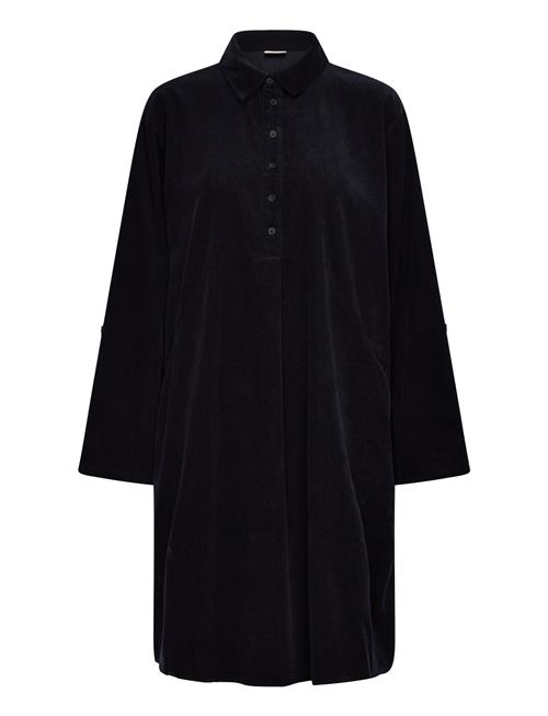 Fransa | Frcory Dr 2 | XXL