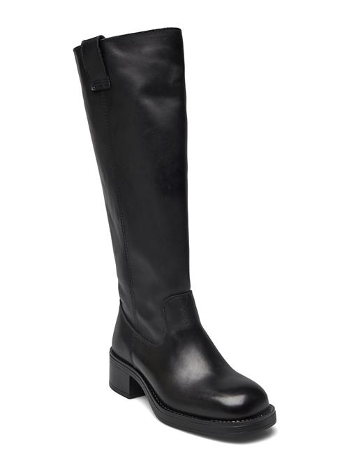 Pavement | Paannika | 39