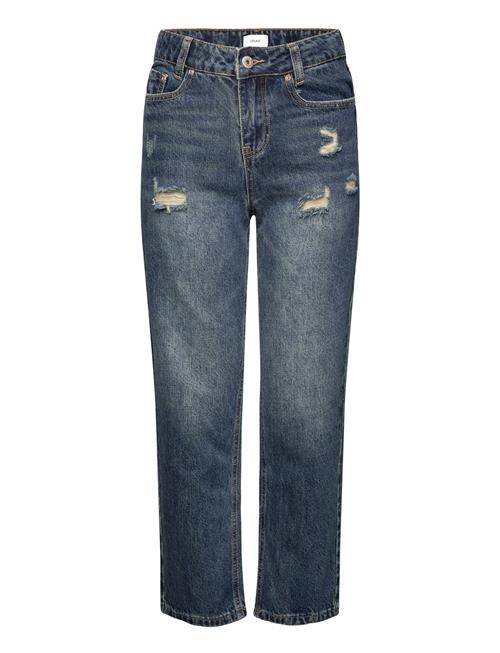 Grunt | Grhamon Ripped | 170