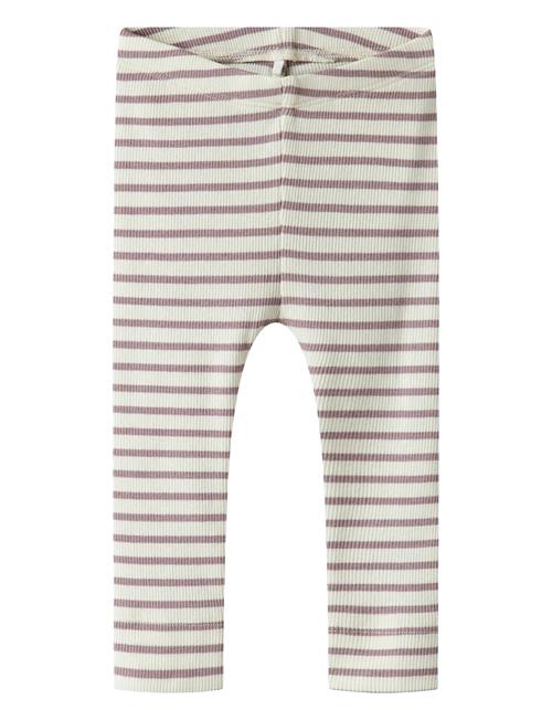 name it | Nbnbani Xsl Legging Noos | 116