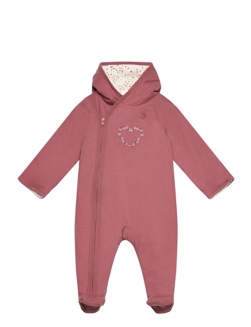 Fixoni | Wholesuit W.padding | 62