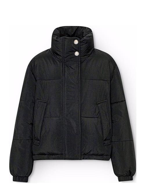 Molo | Hansine | 104