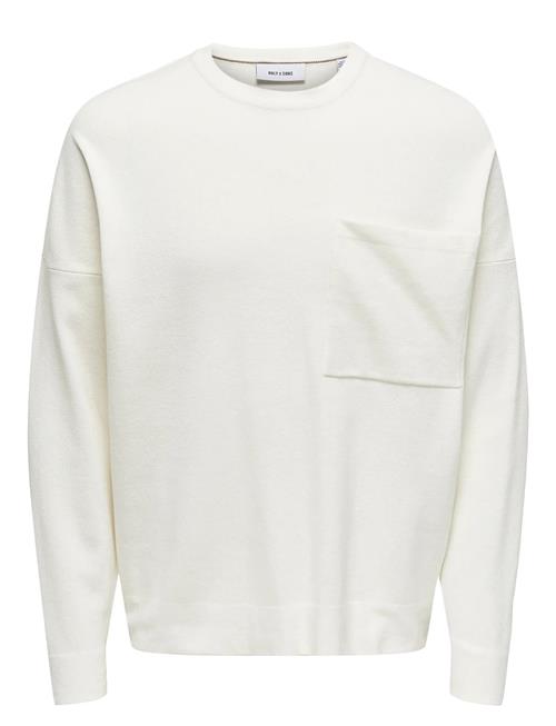 ONLY & SONS | Onslamai Ovz 12 Ls Pocket Crew Knit | S