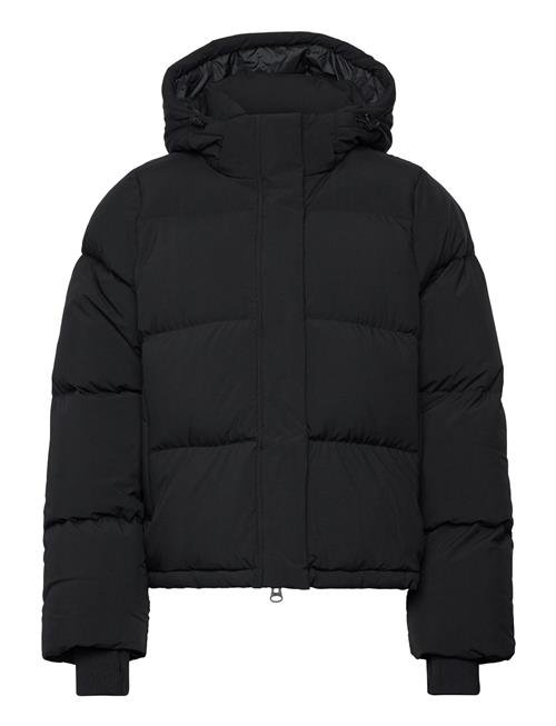 Björn Borg | Studio Puffer Jacket | XL