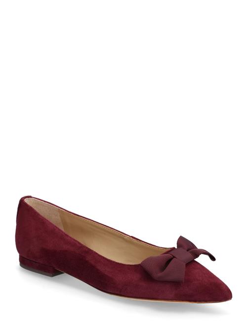Lauren Ralph Lauren | Londyn Bow-Trim Suede Ballet Flat | 37