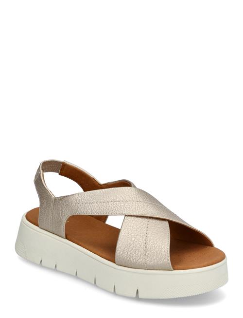 GEOX | D Dandra 40 A | 39