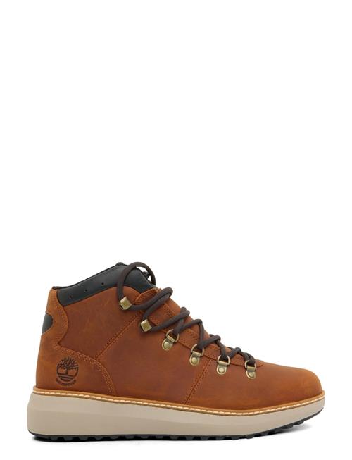 Timberland | Mid Lace Up Waterproof Chukka Boot | 41