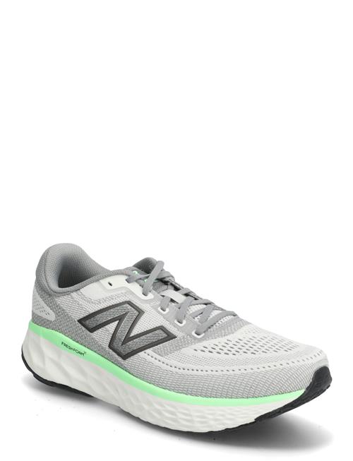 New Balance | New Balance Freshfoam Evoz V4 | 46.5