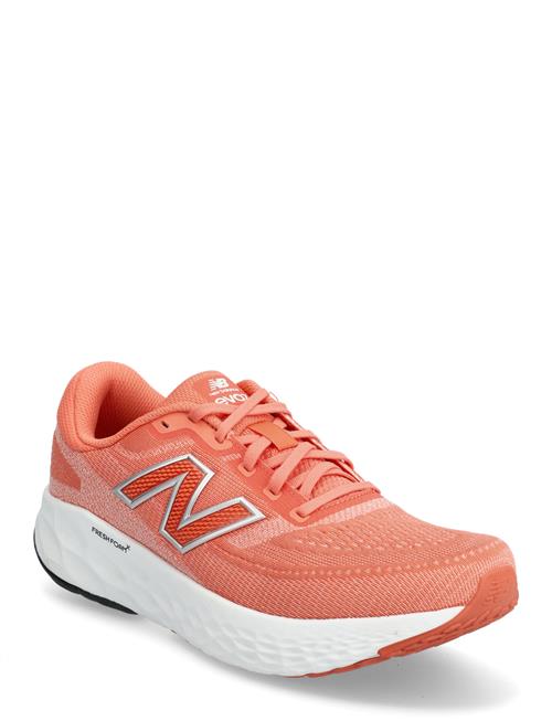 New Balance | New Balance Freshfoam Evoz V4 | 36