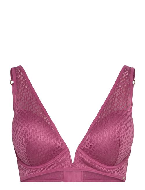 BOSS | Triangle  B Lace | C x 85