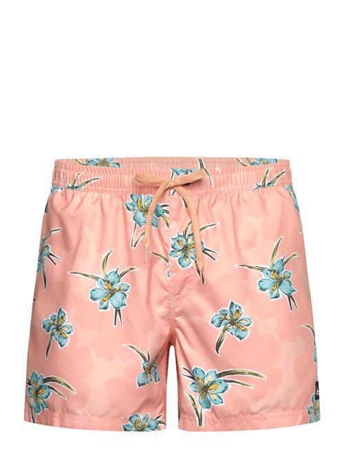 Quiksilver | Everyday Straight Volley 15 | M