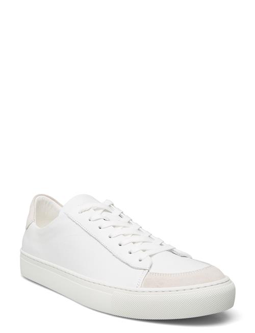 Sneaky Steve | Nagore U White | 41