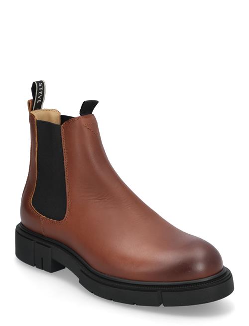 Sneaky Steve | Cashville U Cognac | 38
