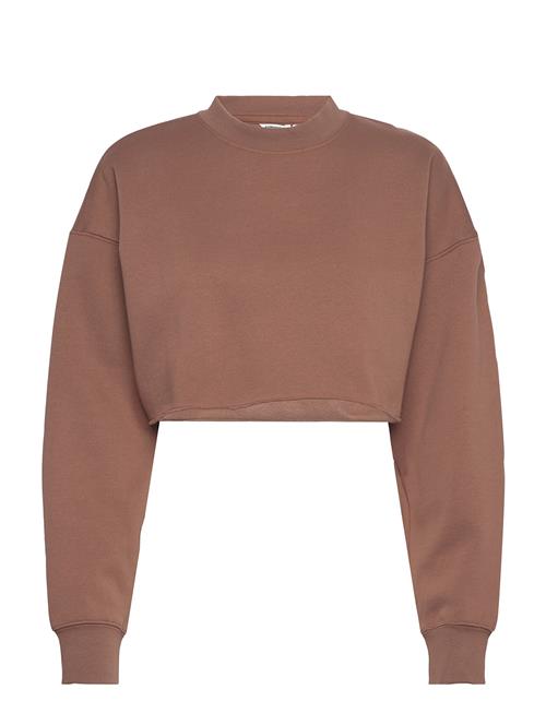 Björn Borg | Studio Oversized Cropped Sweatshirt | M