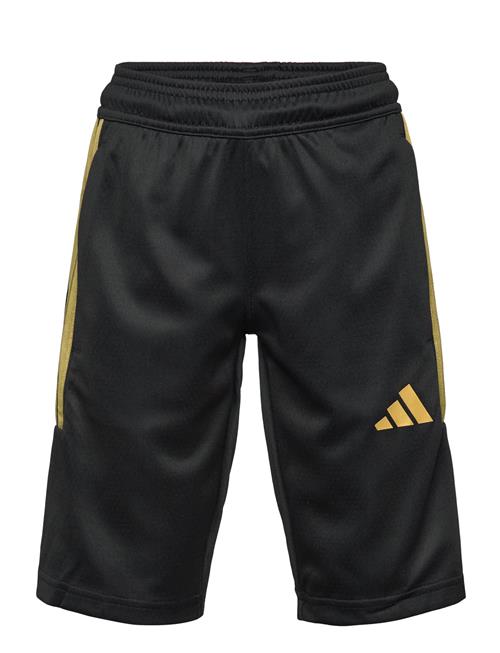 adidas Sportswear | J Hot Cof Sho | 152