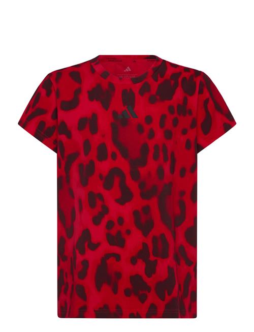 adidas Sportswear | Jg Fi Aop T | 170