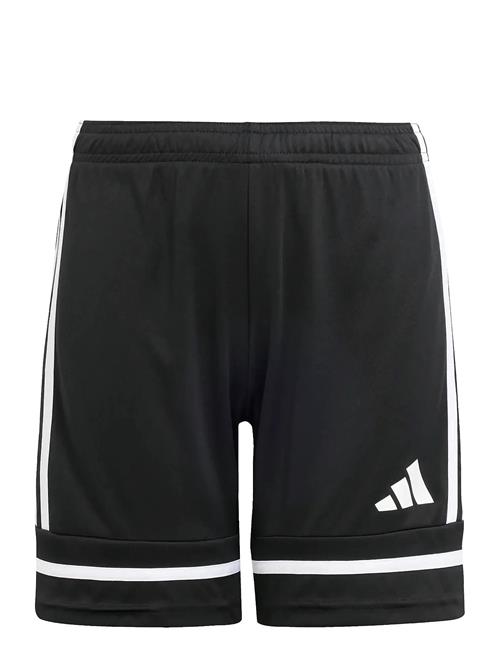 adidas Performance | Squa25 Sho Y | 140